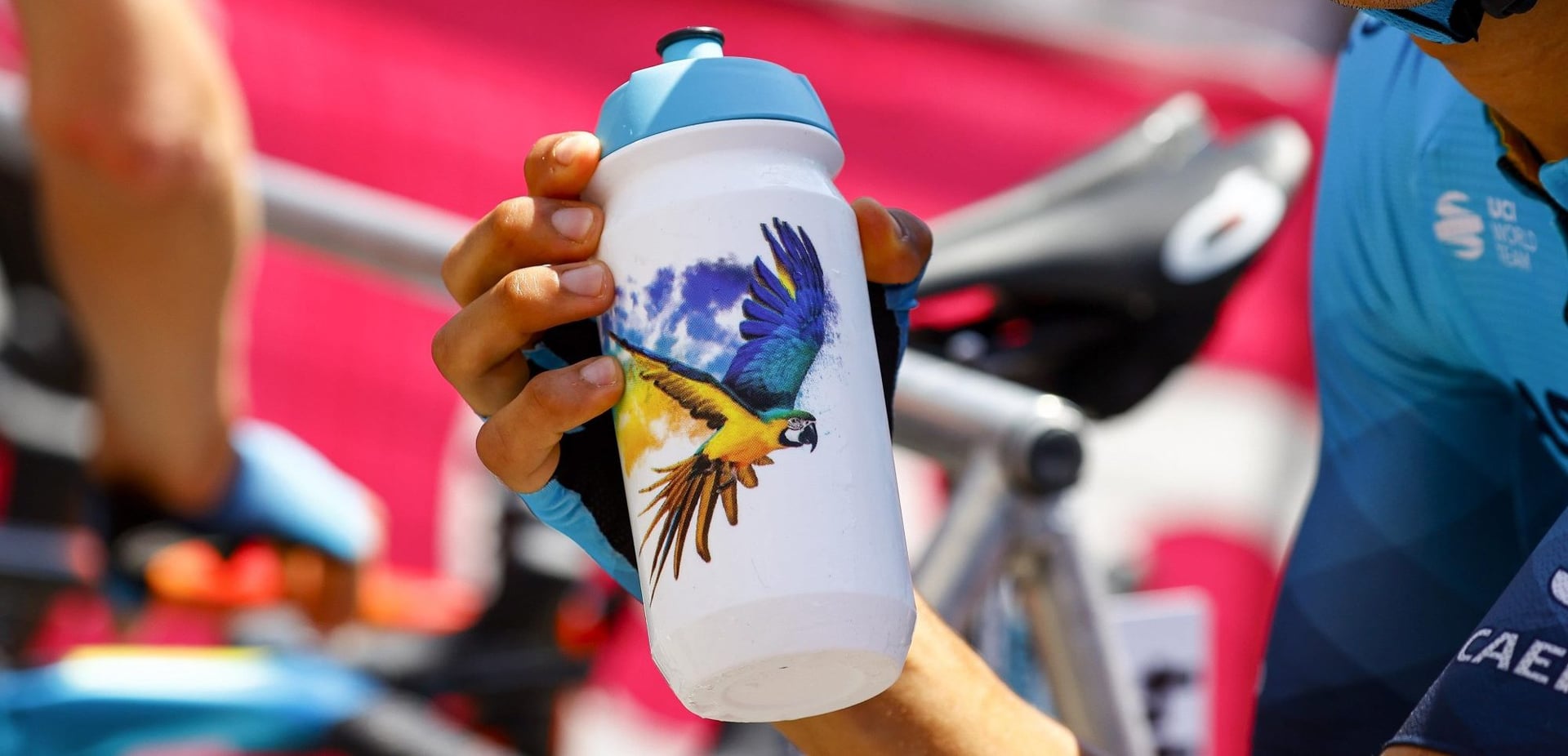 Tragic death: popular cycling parrot Franky reunited with Michele Scarponi in heaven