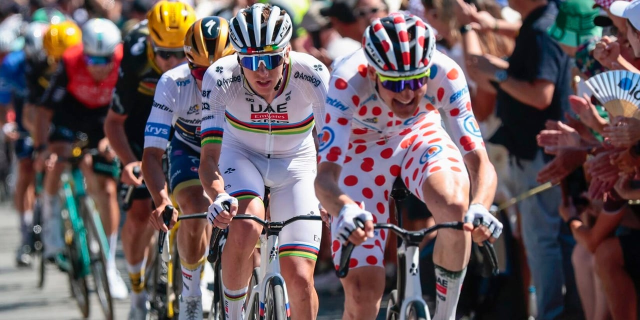 Tim Wellens Reveals Tadej Pogacar's Secrets: "When He Puts on White Shorts..."