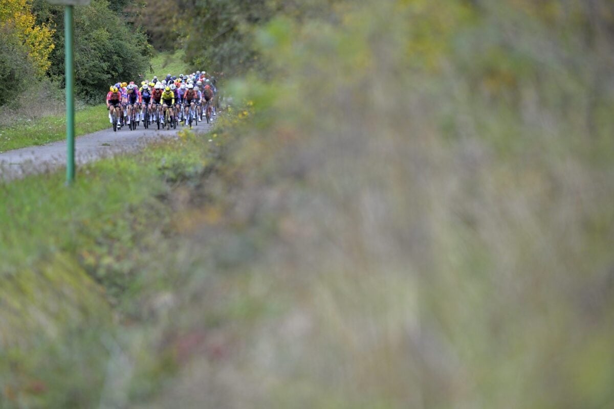 For illustration - photo: Fotopersburo Cor Vos