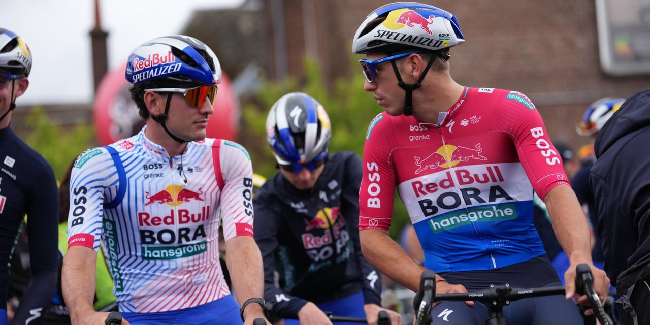 One Year of Yellow Cards: 271 'Yellow' Drawn in 2025 Alone