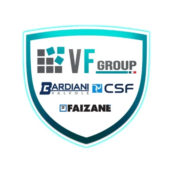 VF Group-Bardiani CSF-Faizanè logo