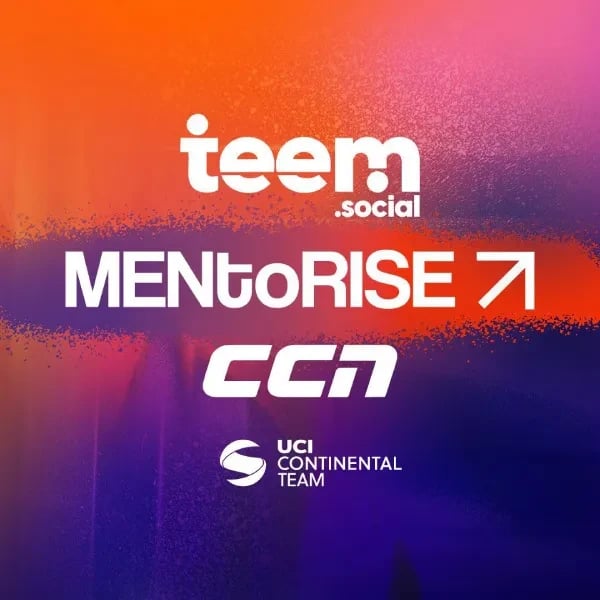 Mentorise Teem CCN logo