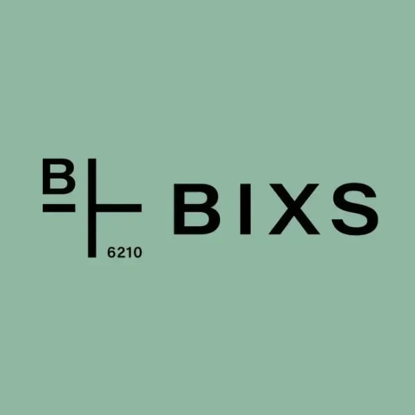 BIXS Performance Race Team logo