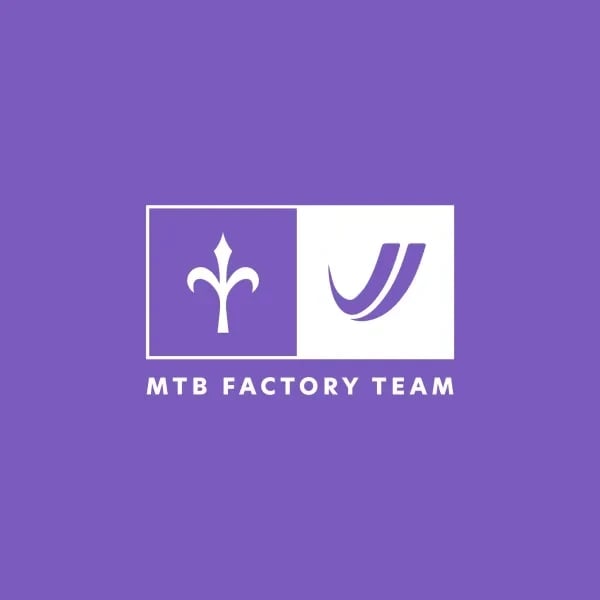 Wilier-Vittoria Factory Team XCO logo