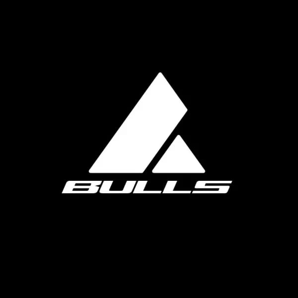 Team Bulls logo