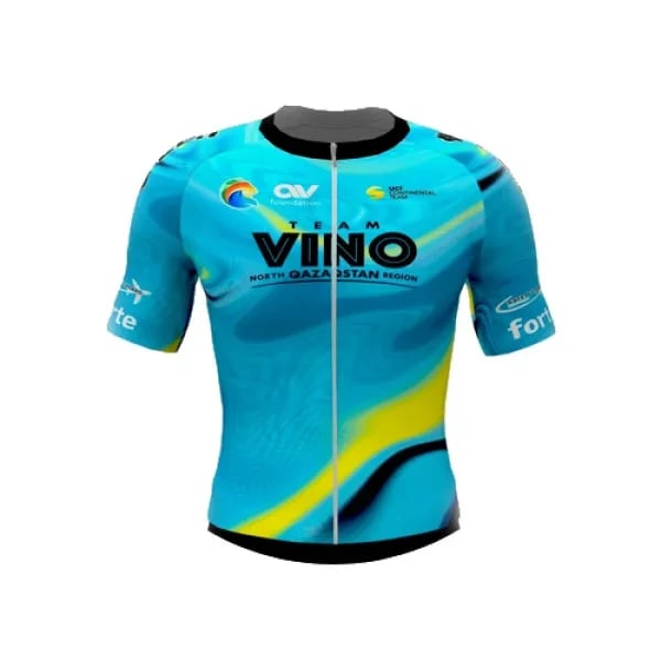 Team Vino - North Qazaqstan Region logo