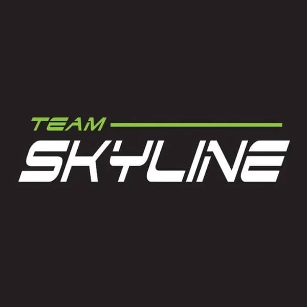 Team Skyline logo