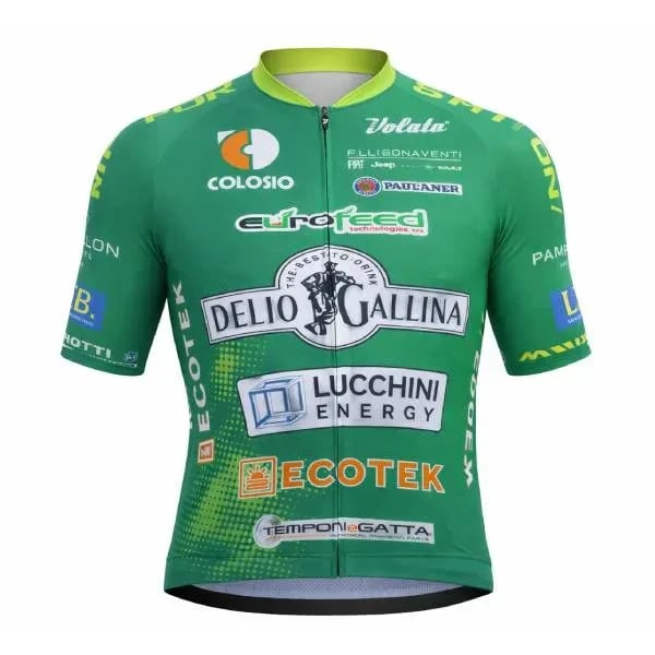 Gallina Ecotek Lucchini logo