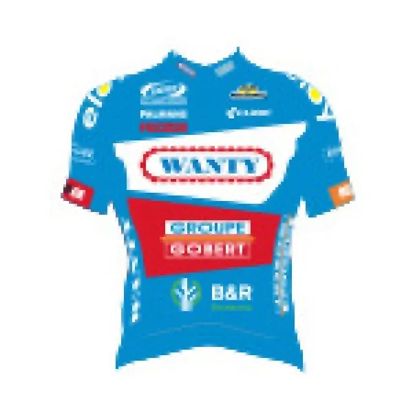 Wanty - Groupe Gobert logo