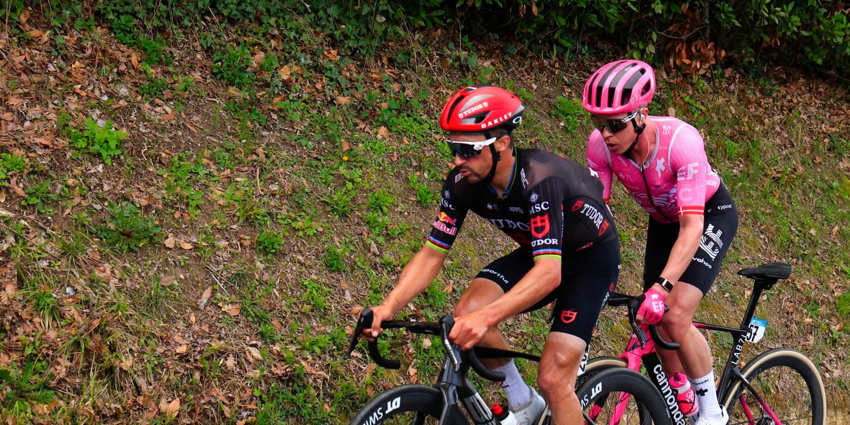 photo: Fotopersburo Cor Vos