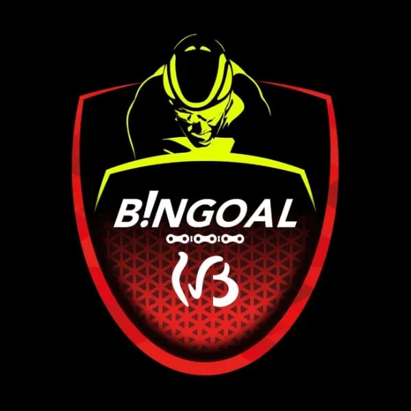 Bingoal WB Devo Team logo