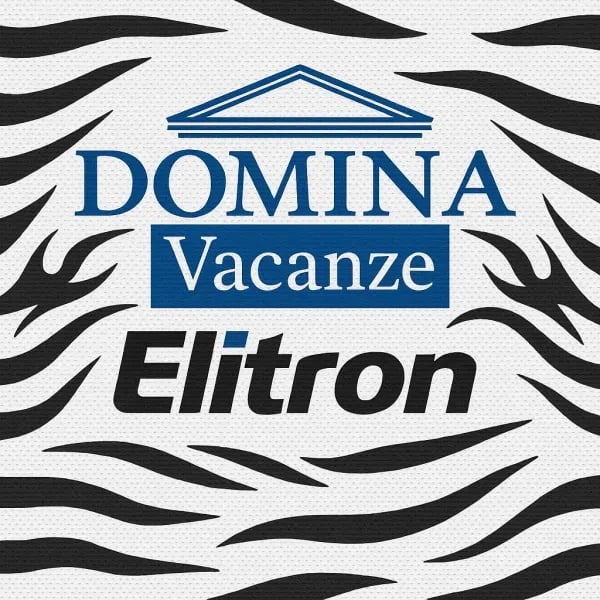 Domina Vacanze logo