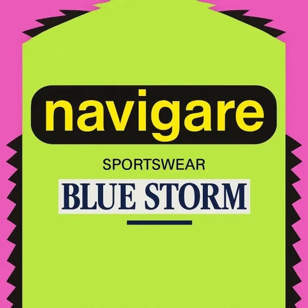 Navigare - Blue Storm logo