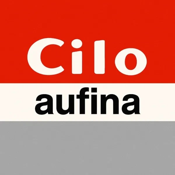 Cilo - Aufina logo