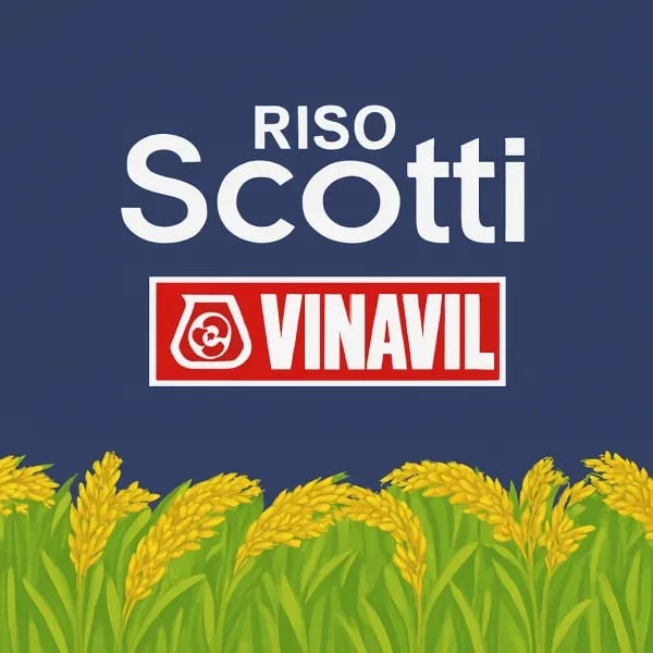 Riso Scotti - Vinavil logo