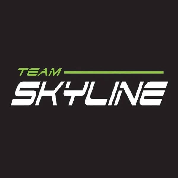 Team Skyline logo