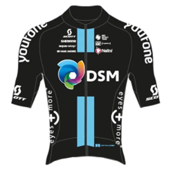 Team DSM logo