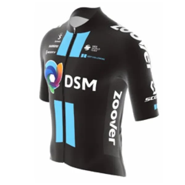 Team DSM logo