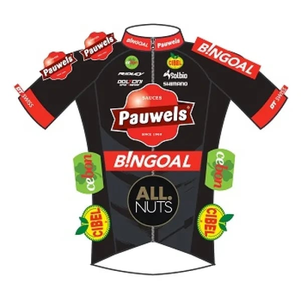 Pauwels Sauzen - Bingoal logo