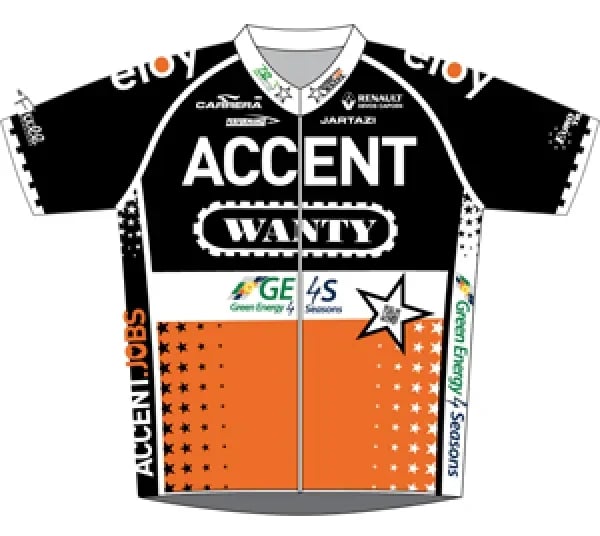 Accent Jobs - Wanty logo