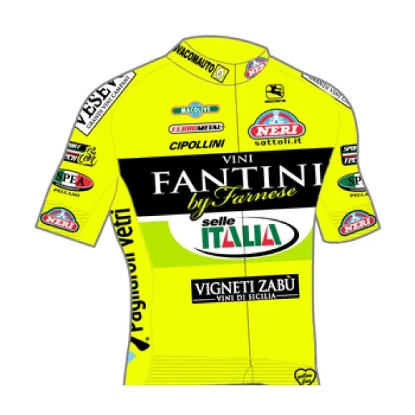 Vini Fantini - Selle Italia logo