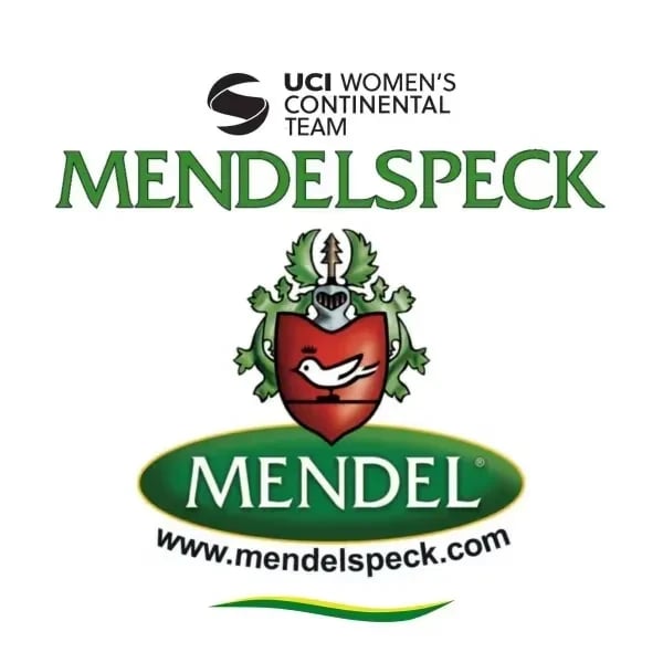 Team Mendelspeck E-Work logo