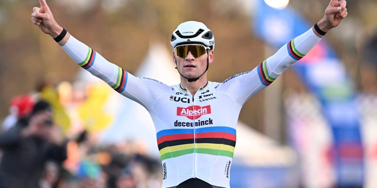 Mathieu van der Poel impresses again in Hofstade sand, strong Wout van Aert second