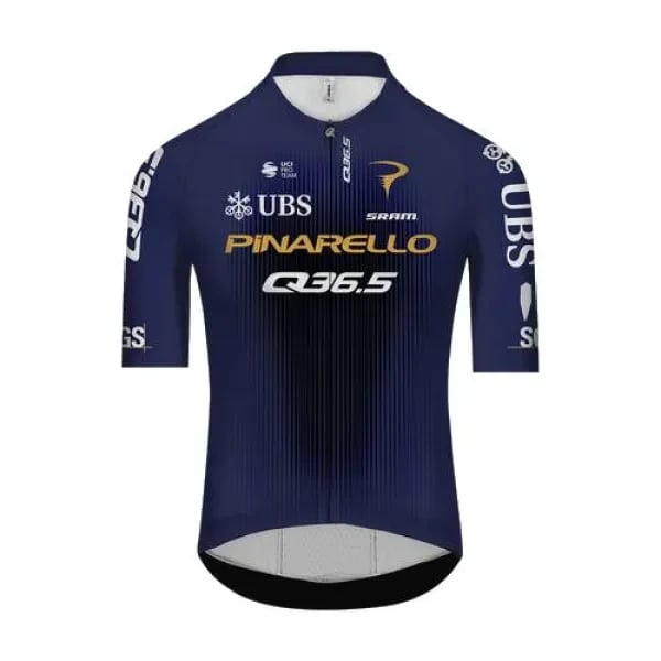 Pinarello - Q36.5 Pro Cycling Team logo