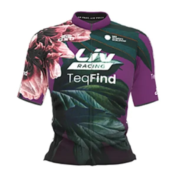 Liv Racing TeqFind logo