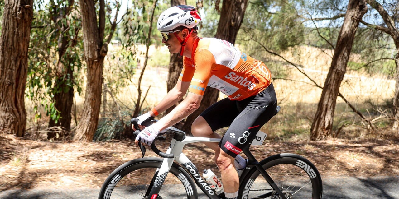 Tour Down Under winner Jay Vine sustains injuries after kangaroo crash