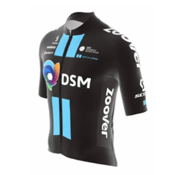 Team DSM logo