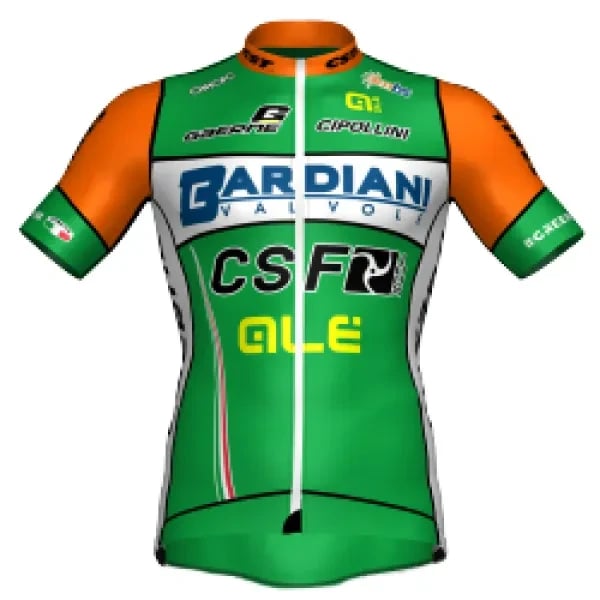 Bardiani CSF logo