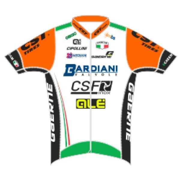Bardiani CSF logo