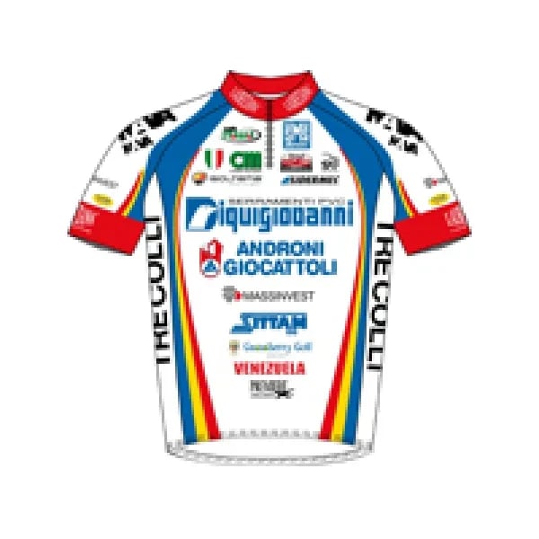 Serramenti PVC Diquigiovanni - Androni Giocattoli logo