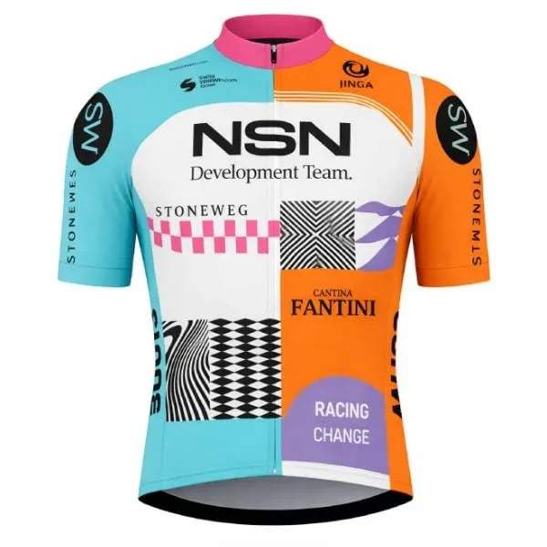 NSN Development Team logo