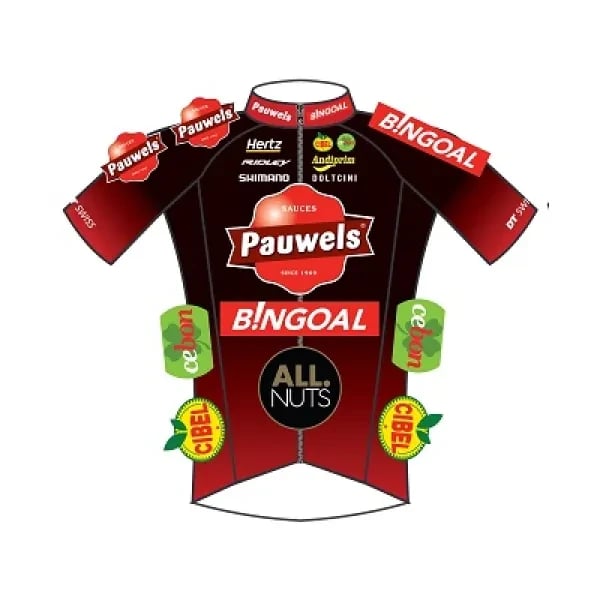 Pauwels Sauzen - Bingoal logo