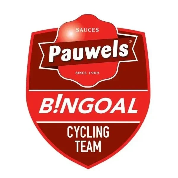 Pauwels Sauzen - Bingoal logo